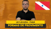 FORMAS DE PROVIMENTO AO CARGO PÚBLICO DO REGIME JURÍDICO DOS SERVIDORES PÚBLICOS DO ESTADO DO PARÁ